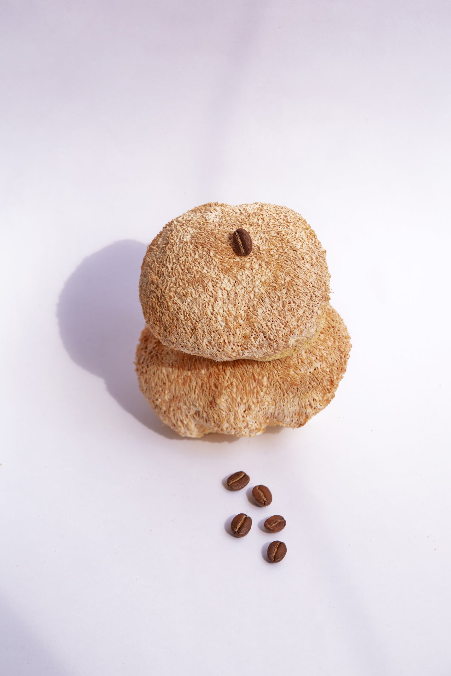 FOCUS COFFEE (250gr)