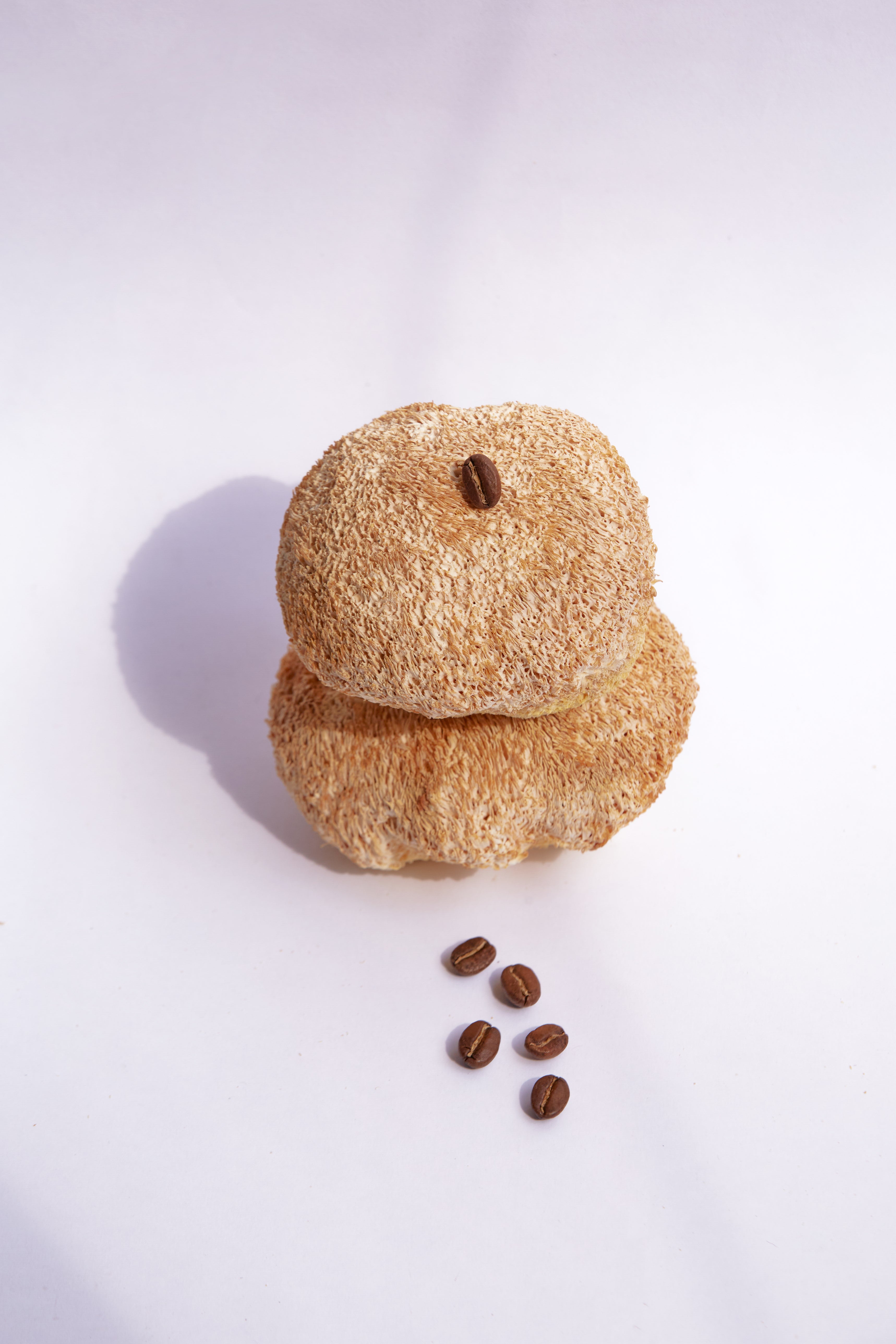 FOCUS COFFEE (250gr)