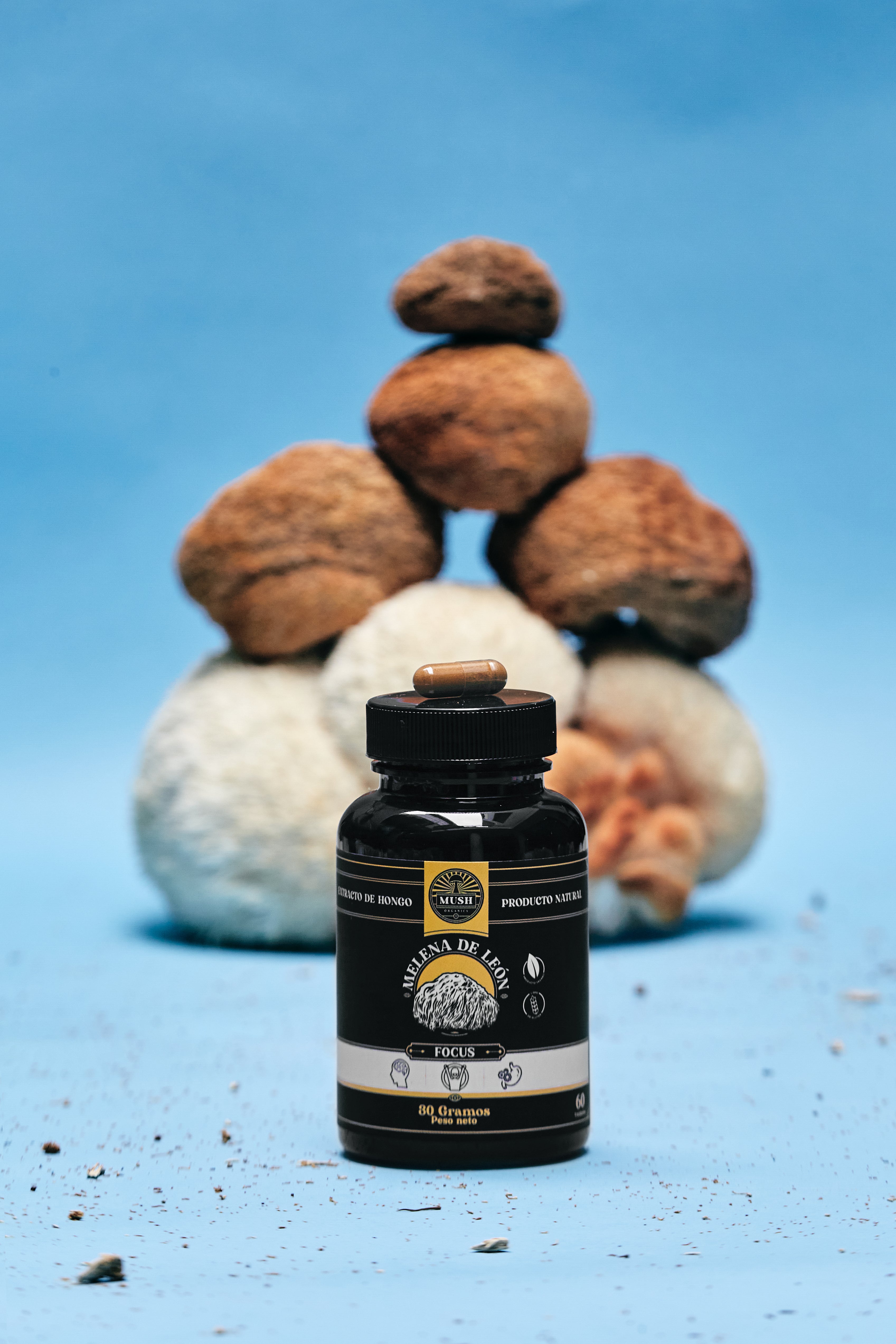 FOCUS - Extracto de Melena de León en cápsulas