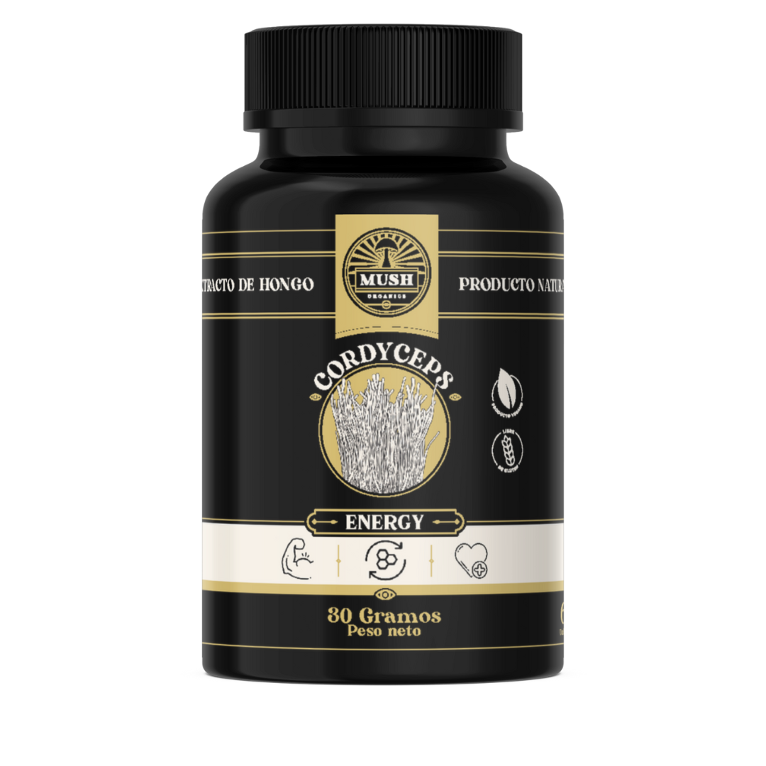 ENERGY - Extracto de Cordyceps en cápsulas